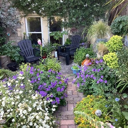 Garden Apartment ويستون سوبر مير المظهر الخارجي الصورة